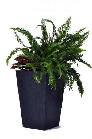 ArtRoja Rattan planter M - grafit