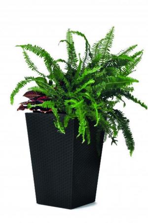 ArtRoja Rattan planter S - grafit