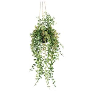 Umelá Rastliny Dischidia, V: 60cm